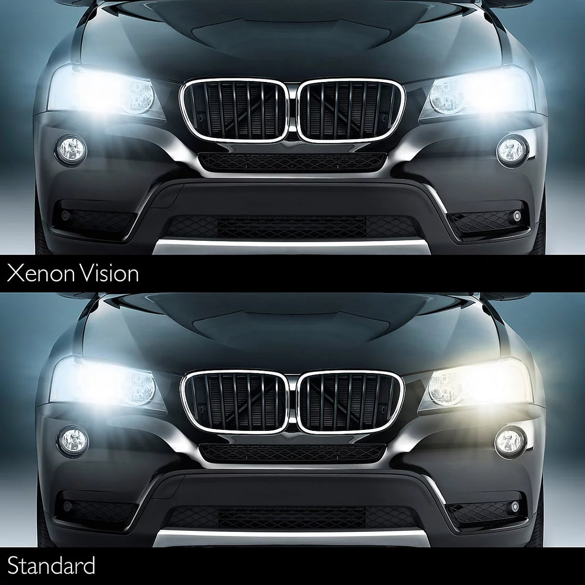 FOCO XENÓN PHILIPS XENON VISION – D1S